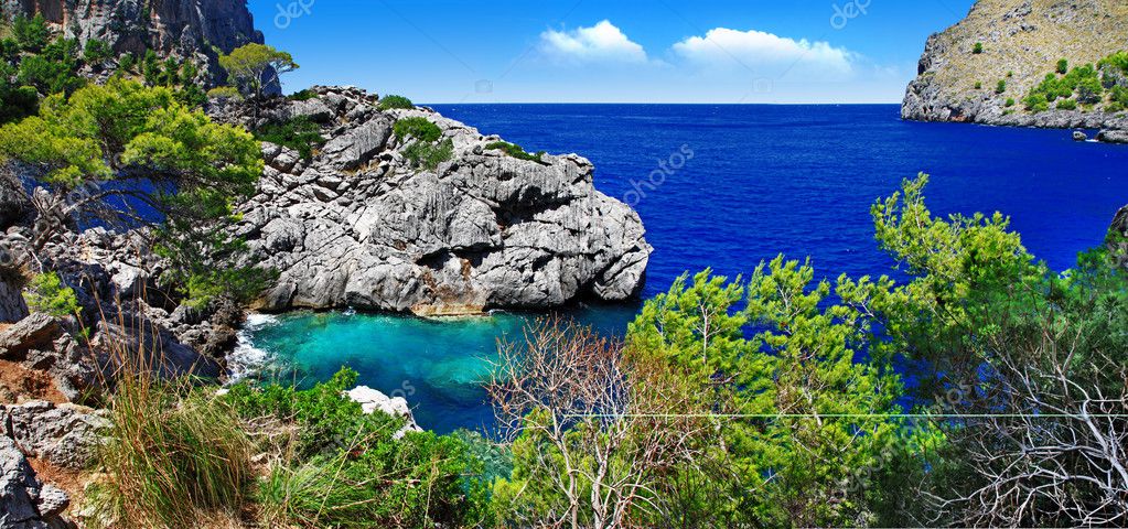 download kennzahlen in der distribution