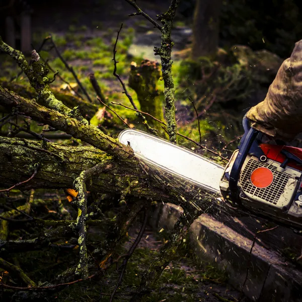 Man sawing a log in his back yard