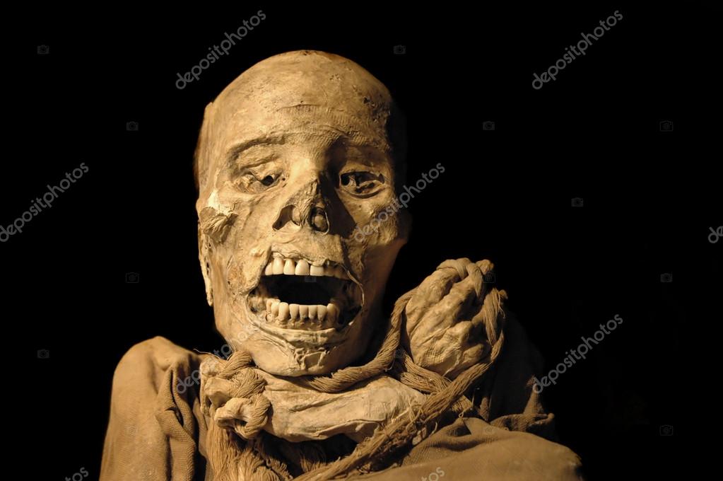 Ancient Inca Mummies