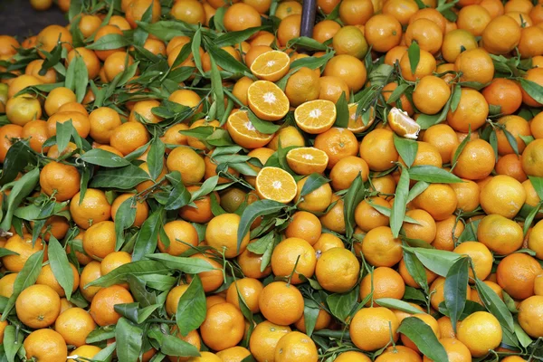 Mandarin orange Citrus reticulata