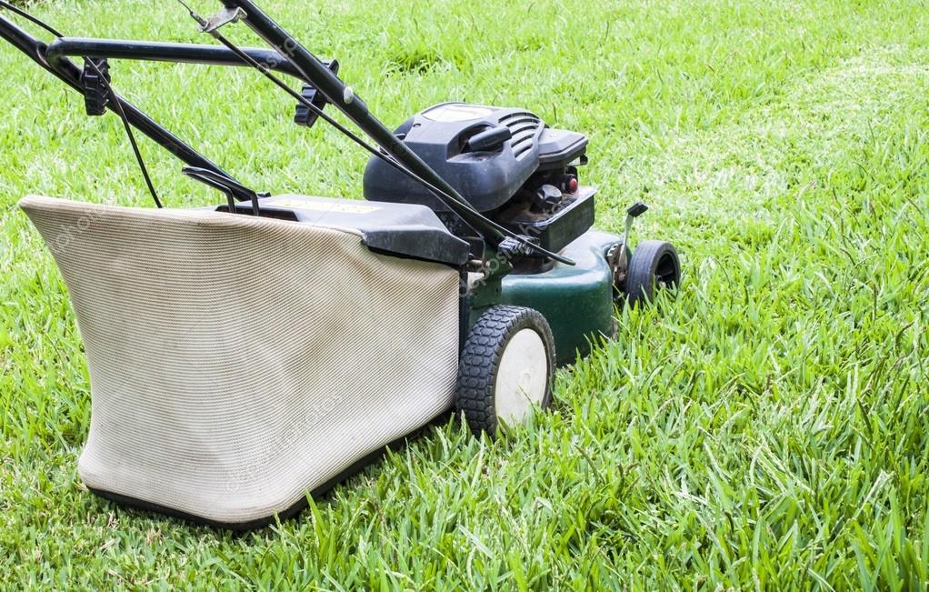 the lawn mower