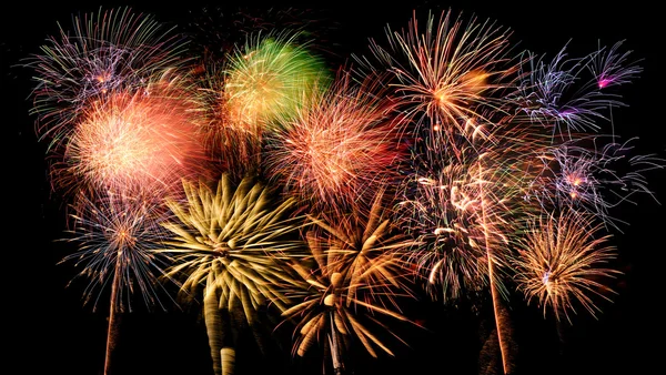 Fireworks of Different Colors and Shapes