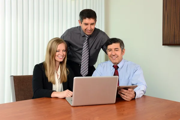 Coworkers Sharing Information on Laptop