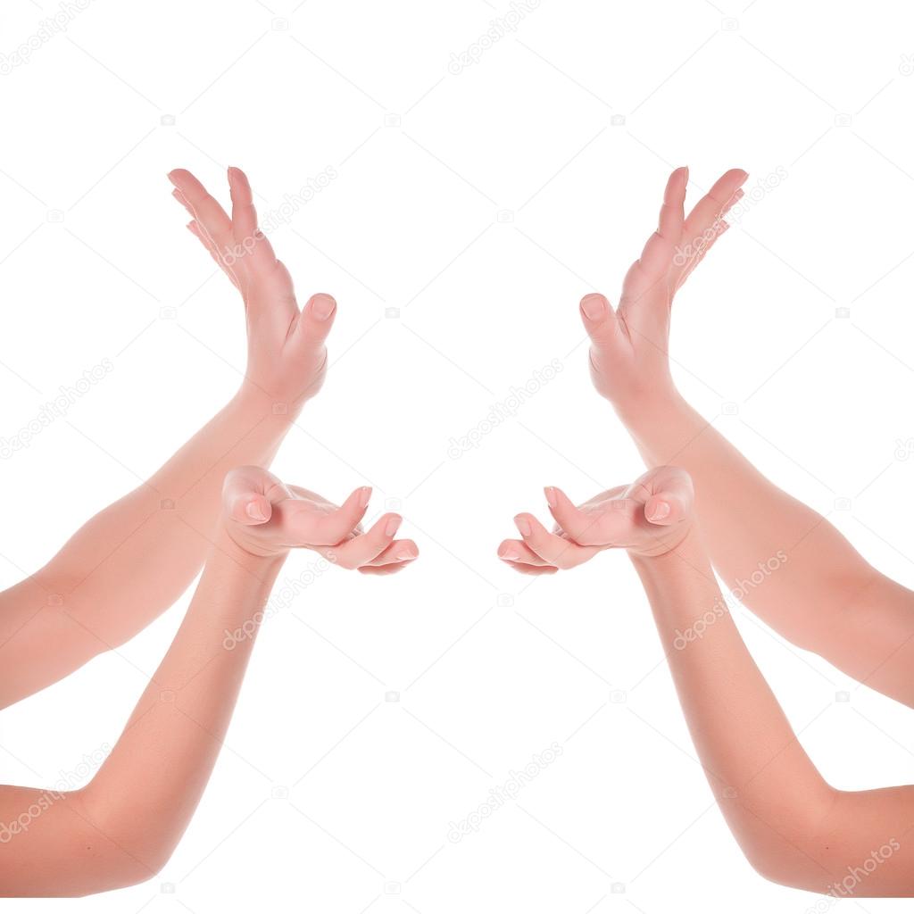 Human gesture. Four hands holding something. Isolated on white — Stock