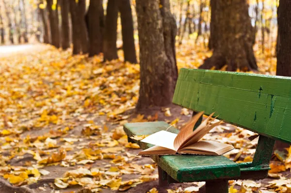 Old book on the bench in autumn park