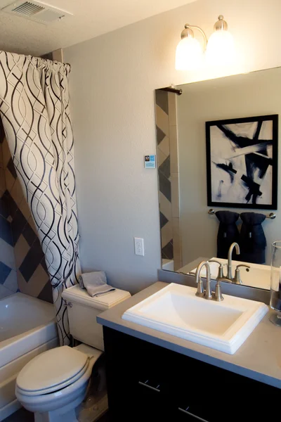 Modern looking black and white bathroom in a model home.