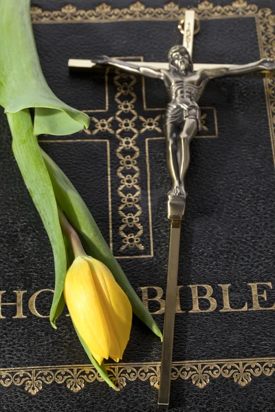 Bible with cross and tulip — Stock Photo #18758739