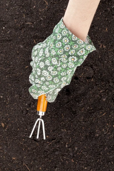 A hand cultivating the soil — Stock Photo #18799849