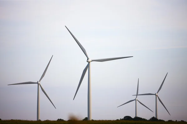 Power generating wind mill farm