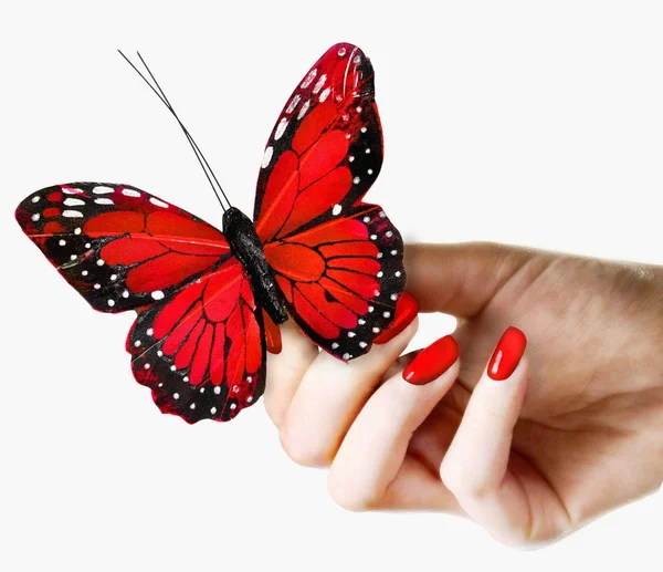 Woman\'s hand with red fingernails / fingernail polish is holding a vivid red butterfly
