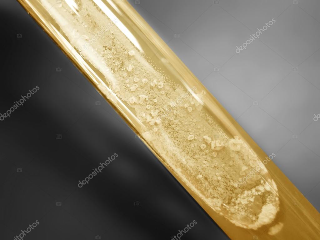 Bacterial pathogen / bacteria / growth in a TSA trypticase soy agar