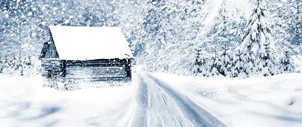 Village. Winter landscape.