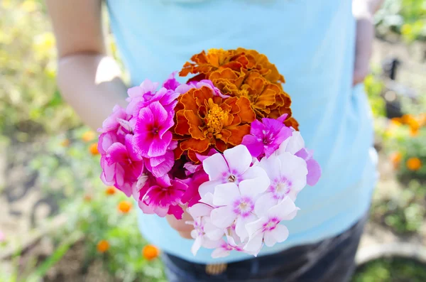 Garden flowers