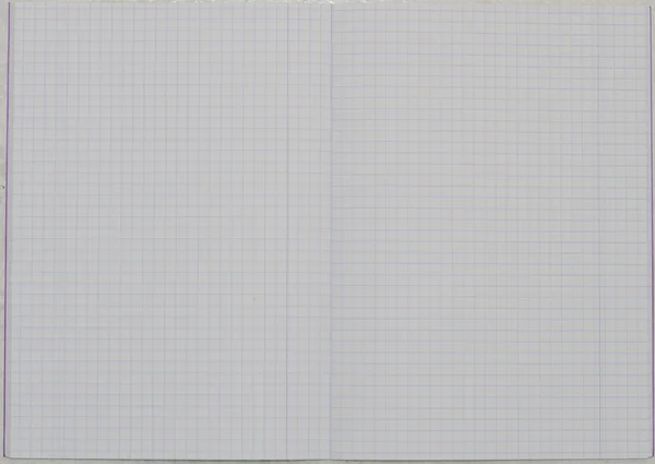 Notebook with checkered sheets