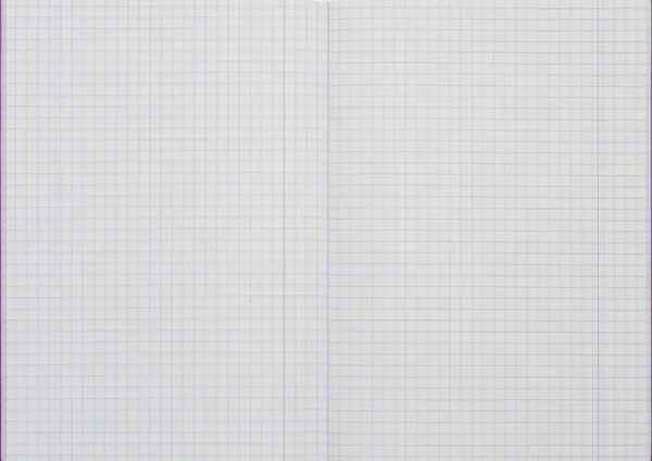 Notebook with checkered sheets - white background