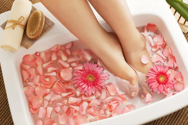 Bowl with gerbera flowers and petals