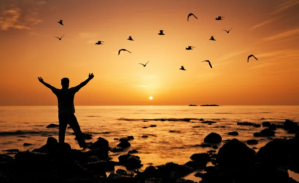 Man feeling freedom on beach during sunrise, birds flying around