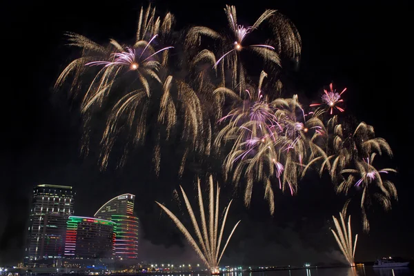 Dubai Shopping Festival grand opening with the fireworks