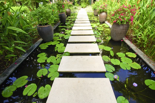 The Stone block walk path in the garden on water