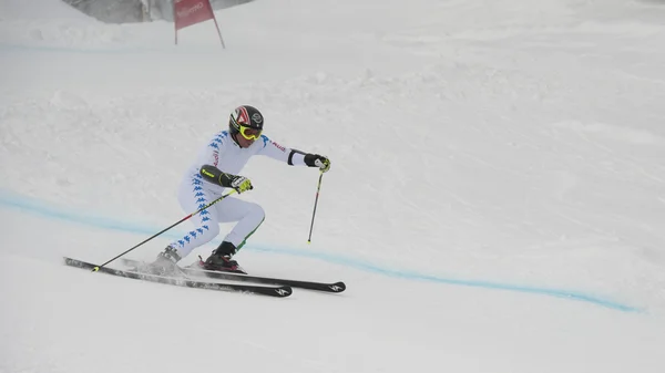 Skier in Giant Slalom Test