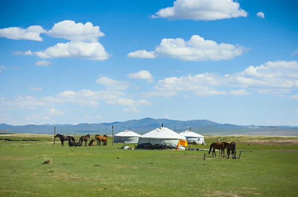 yurts and horses in mongolia