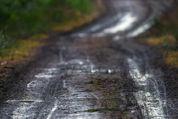 Muddy rural dirt road