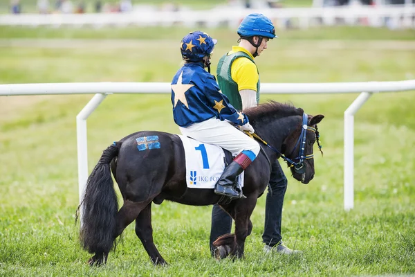 Pony racer warming up with her trainer and horse