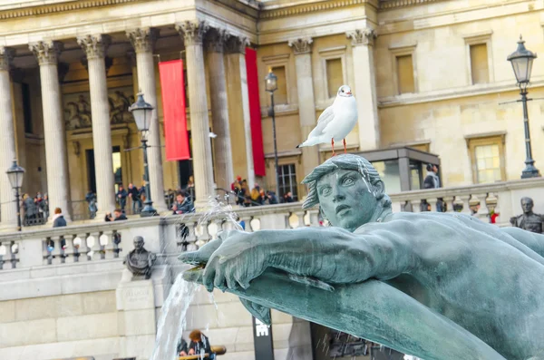 Fountain with peageon bird at Trafalgar Square in London