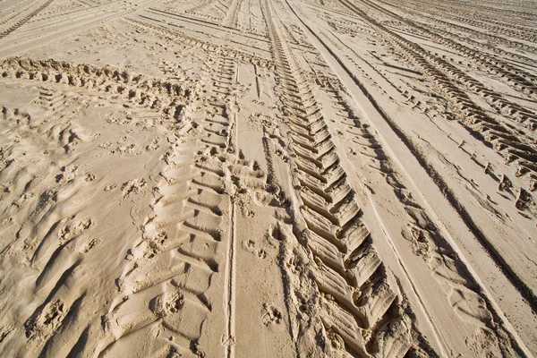 Tractor wheel tracks in golden beach sand