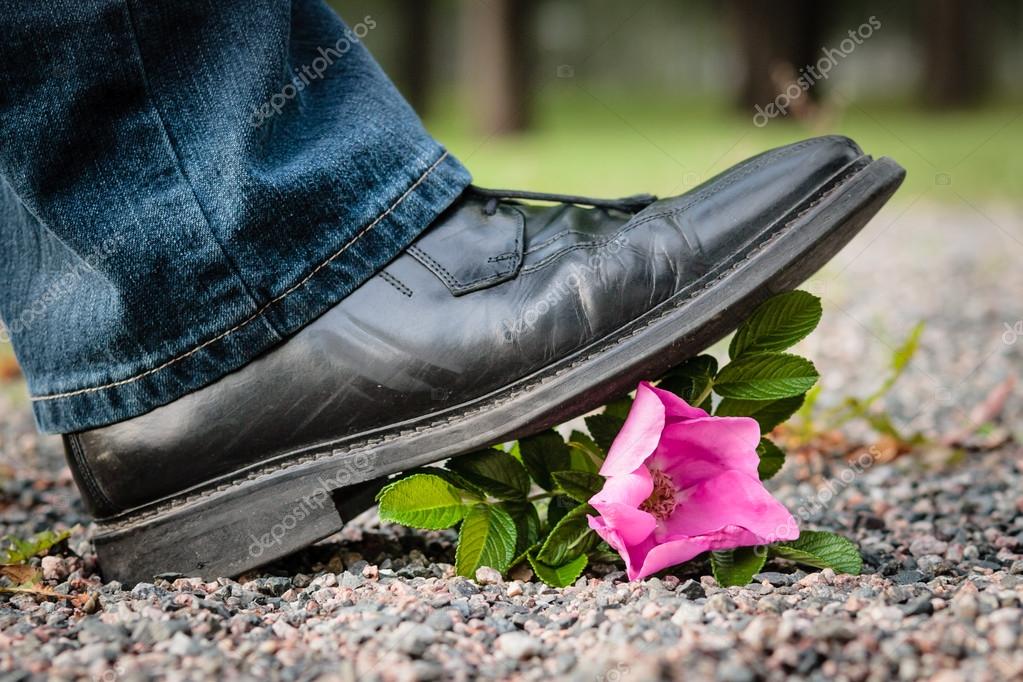 Crushing the Flower — Stock Photo © ttretjakov 14696675
