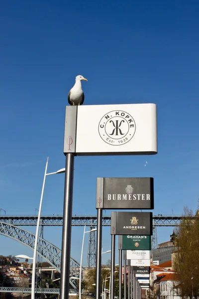 Seagull and port wine billboards in Porto