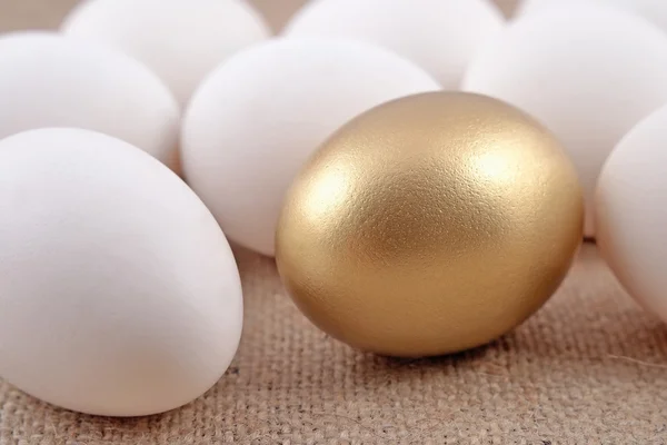 Golden egg and jast eggs