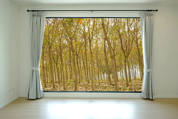 Opened door, forest view background