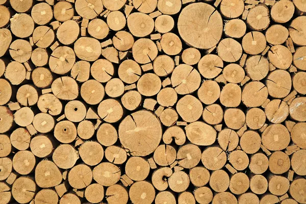 Texture of cut timber logs