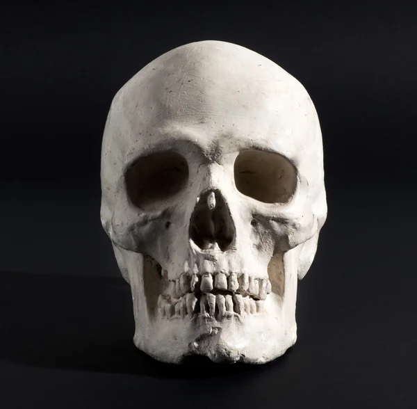 Human skull on a black background