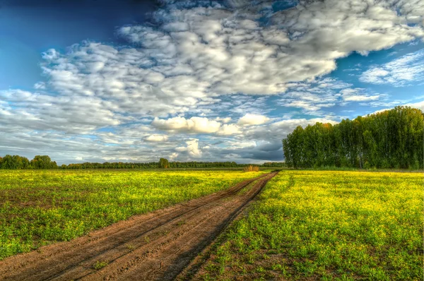 HDR image of straight dirt road