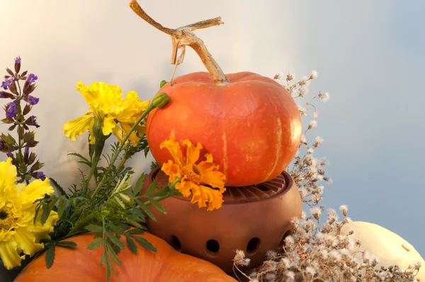 Colorful autumn indoor decoration with pumpkins, marigolds and dry flowers for Thanks Giving or Halloween.
