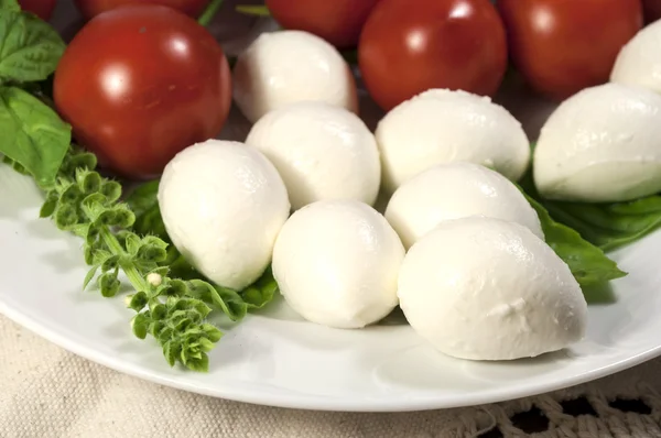 Traditional Italian food with mozzarella cheese, tomatoes and basil.