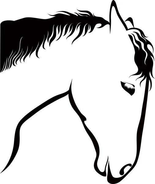 Drawing horse — Stock Vector #26535157