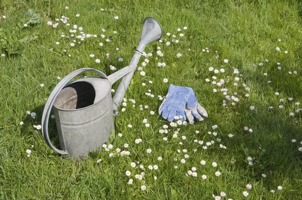 Watering can and garden gloves on blooming lawn