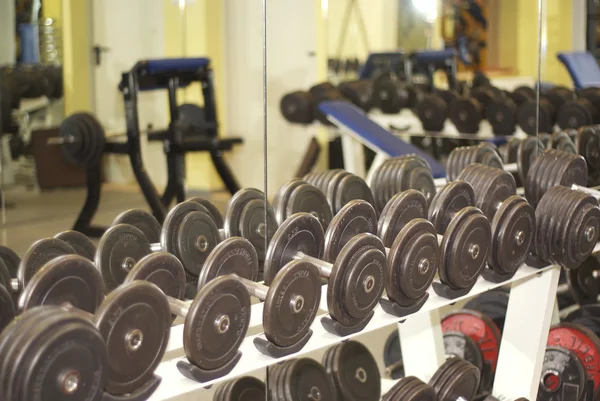 Weights in a Fitness Room