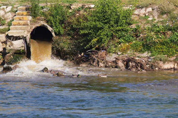 Polluted river