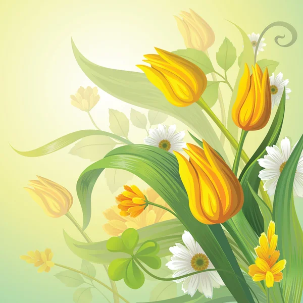 Yellow tulips