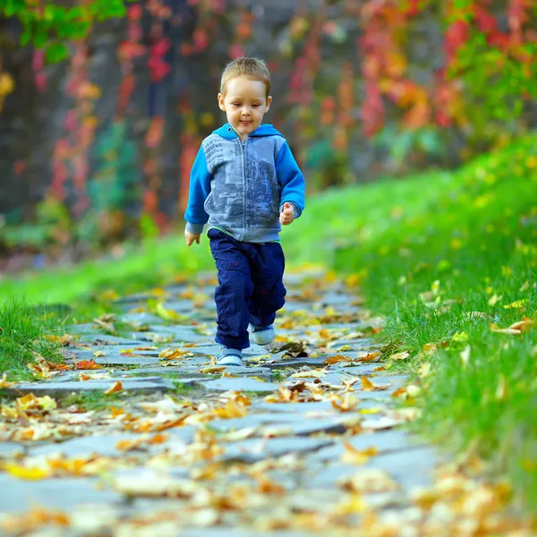 Cute baby boy running beautiful autumn footpath