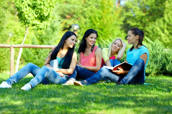 Four smiling student girls studying in green park