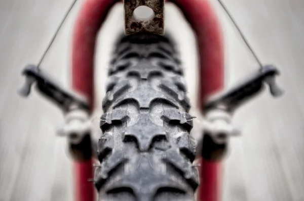 Knobbly Front Tire of a Mountain Bike