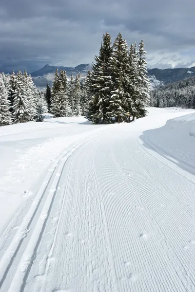 Cross-country ski track