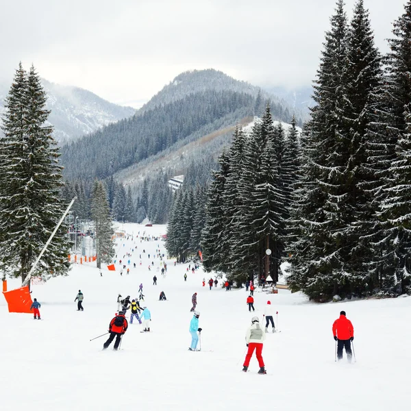 Ski resort