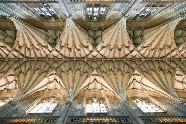 Winchester Cathedral vaulting