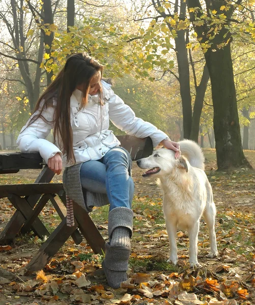 Young woman sitting on bench in autumn park cuddling dog)